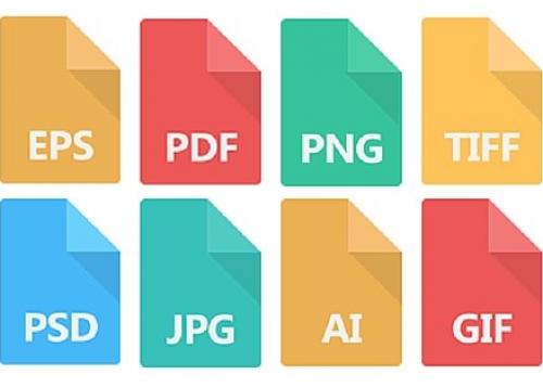 Common Image File Formats